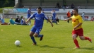 b-cup_16_20150809_1717728565.jpg